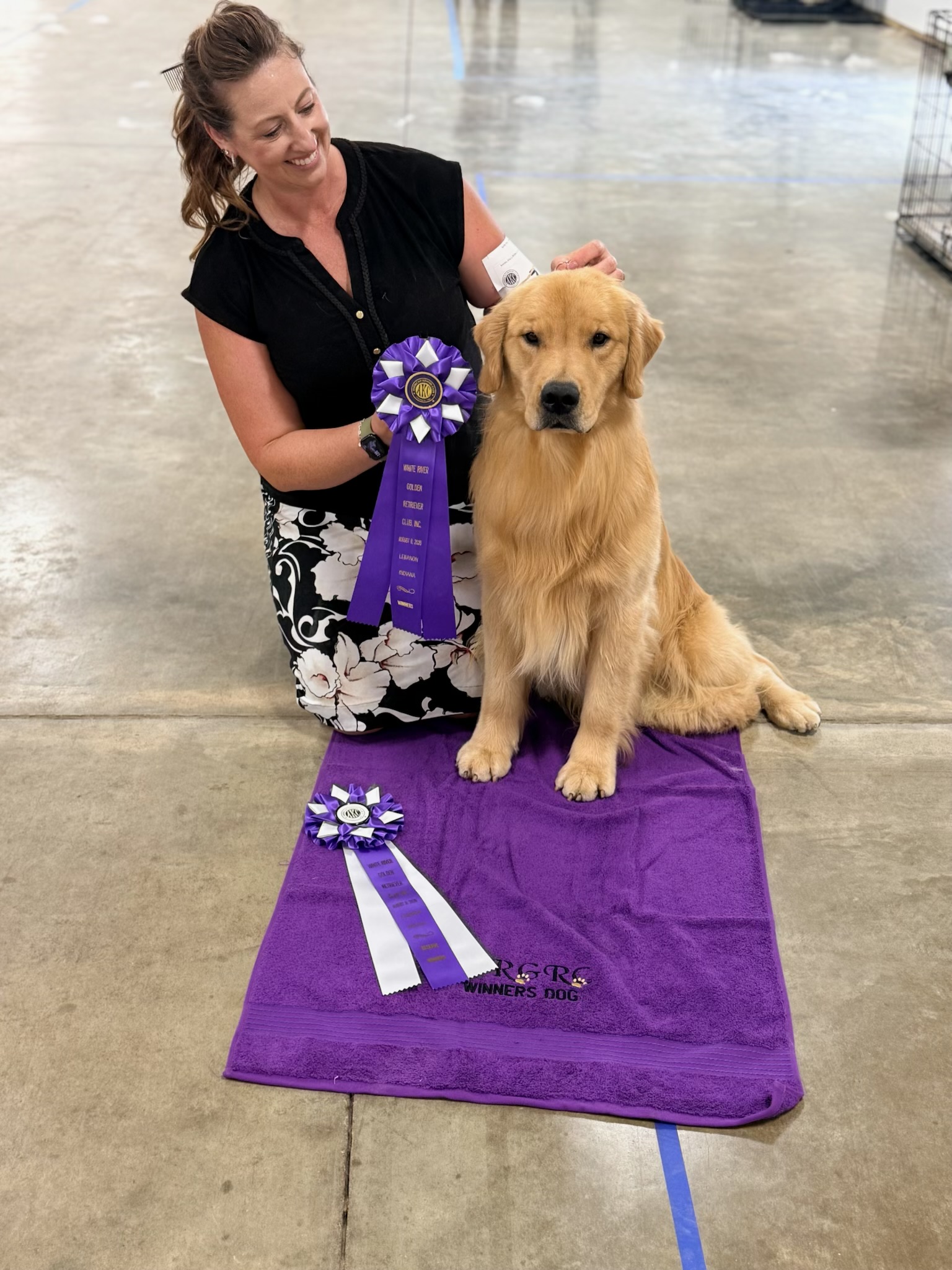 Pork Chop, Forever Golden Retrievers stud dog, Winners Dog at the RGRC show